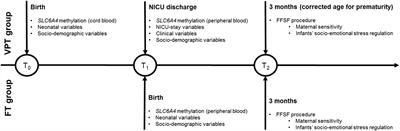 Maternal Sensitivity Buffers the Association between SLC6A4 Methylation and Socio-Emotional Stress Response in 3-Month-Old Full Term, but not very Preterm Infants